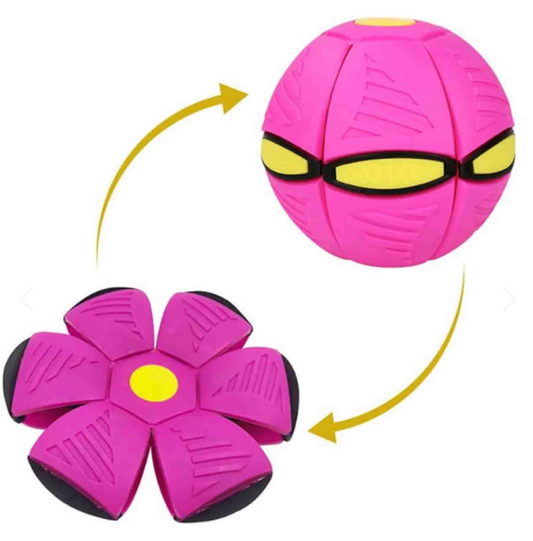 PELOTA PLANA FRISBEE